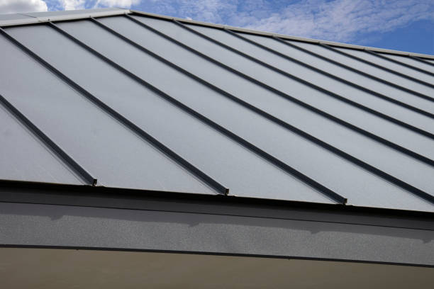 Best Sheet Metal Roofing  in Avonia, PA